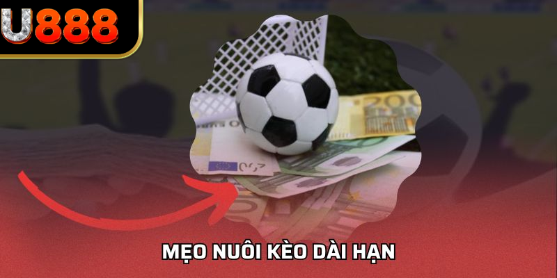 Mẹo Nuôi Kèo Dài Hạn - Kỹ Năng Duy Trì Kèo Lâu Bền U888