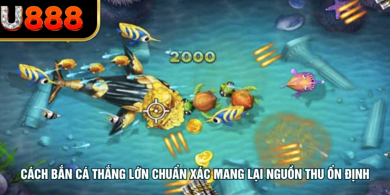 Cách bắn cá thắng lớn chuẩn xác mang lại nguồn thu ổn định